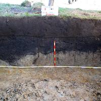 Foto of the cultural layer in area 3, profil, marked with the black line