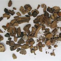 Gesammeltes Fundmaterial